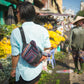 Vietnam 6